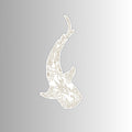 whale shark sticker